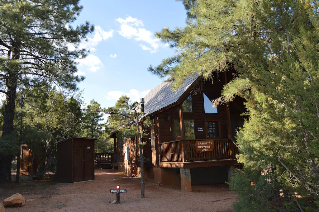 Cozy A-frame Cabin in Tall Pine Forest